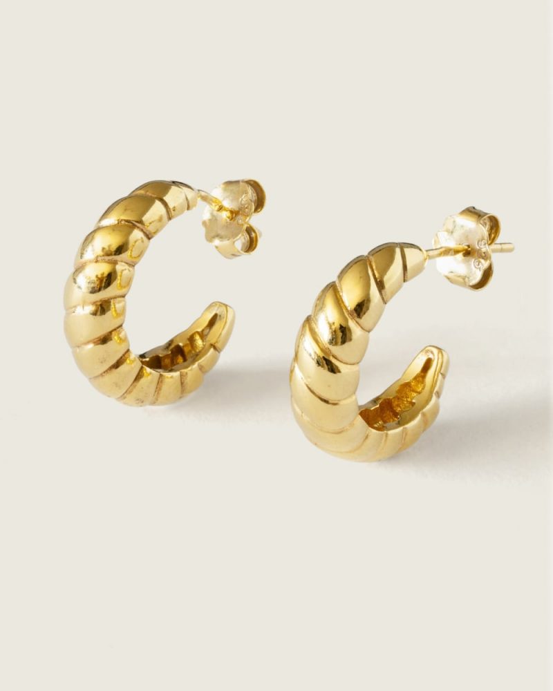 Chic Silver Earrings dourado prata 925 demarca