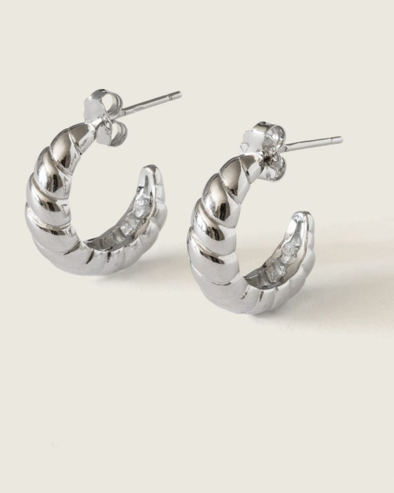 Chic Silver Earrings prateado prata 925 demarca